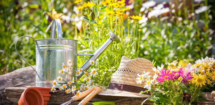 Gearing Up For Gardening